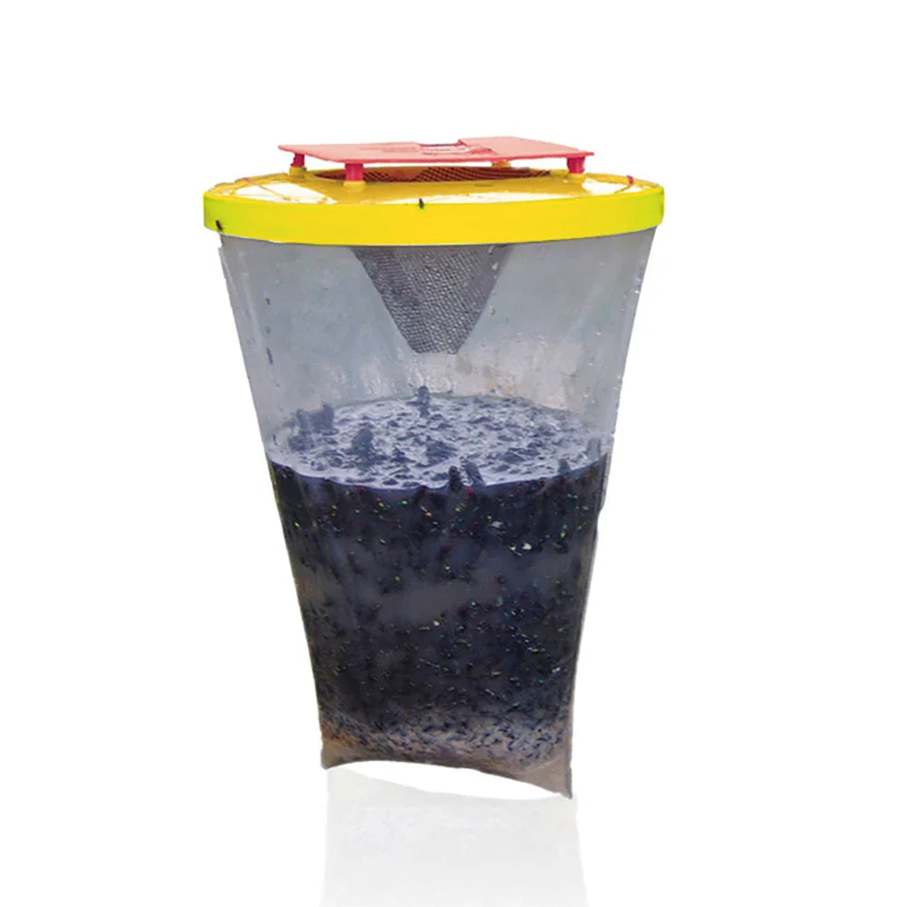 BowLift | Disposable Hanging Fly Trap