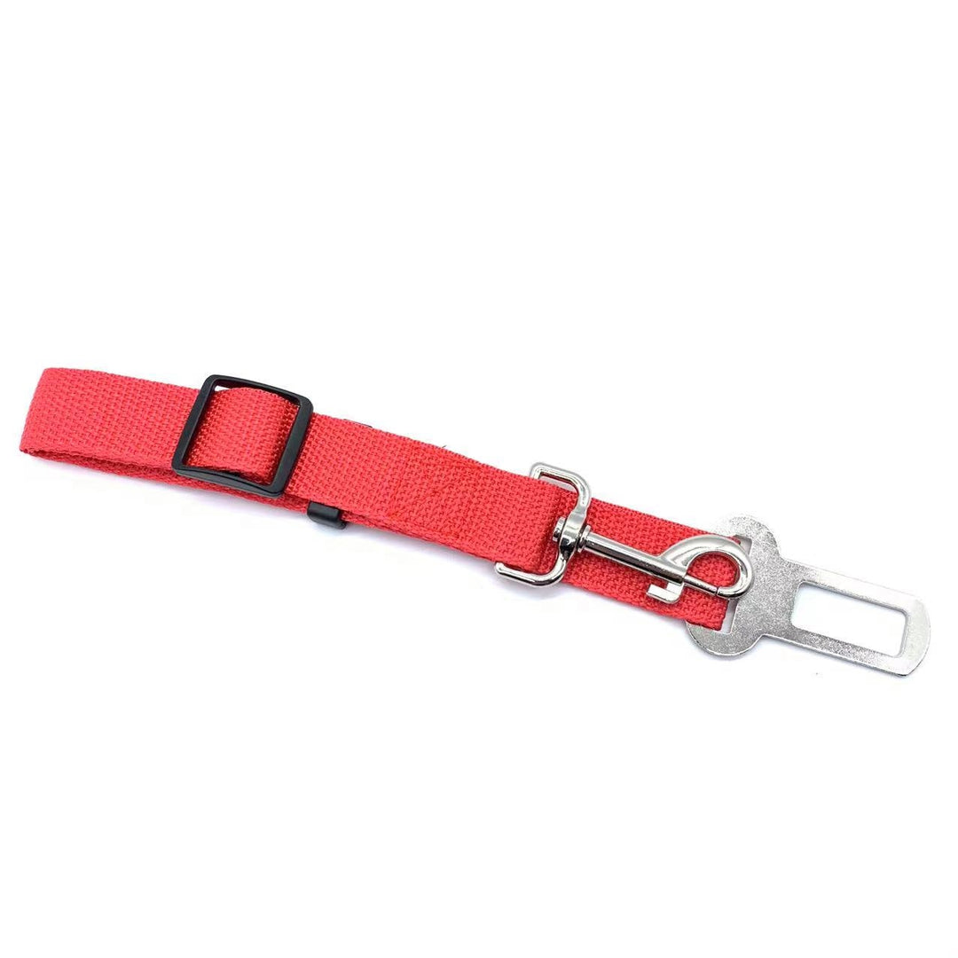 Safety seatbelt for Pets Bowlift