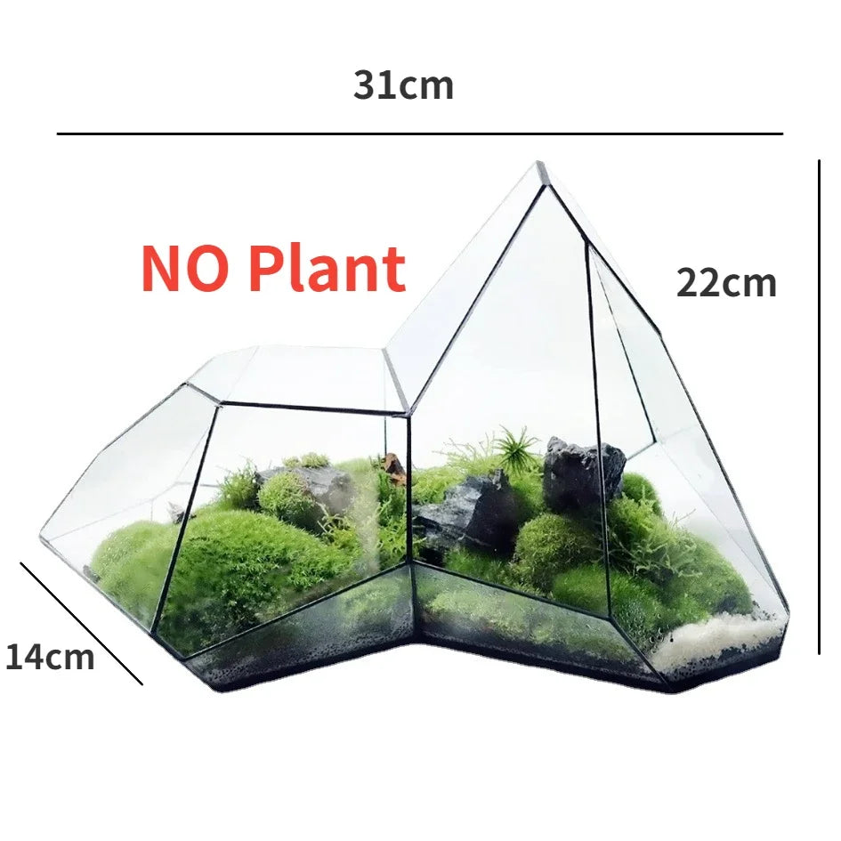BowLift | Geometric Glass Moss Planter Terrarium Vase