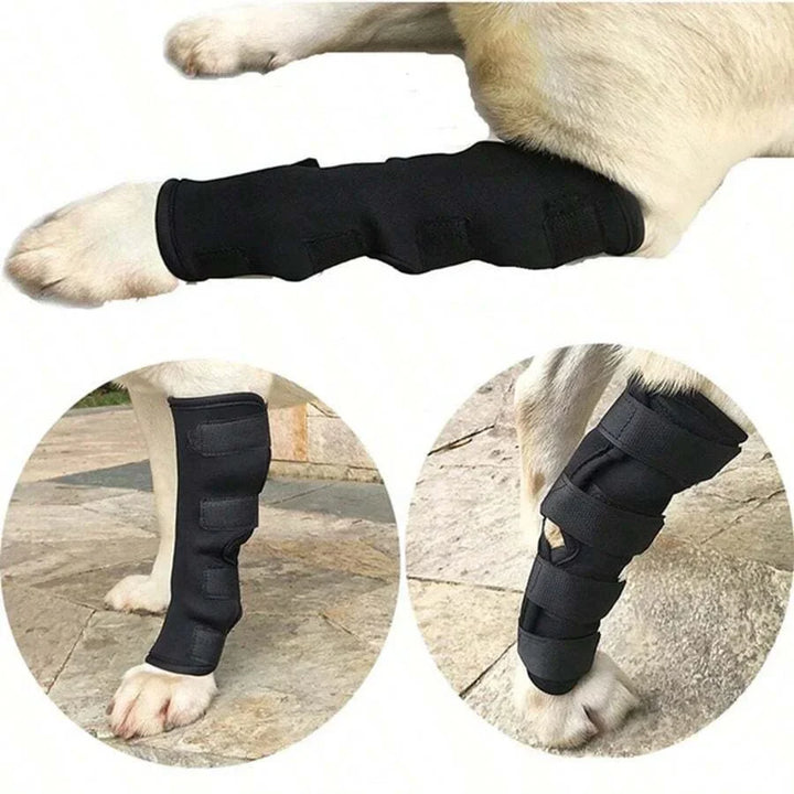 Joint support for dogs stabilizing & protecting Bowlift