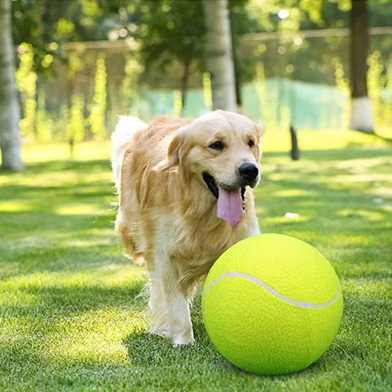 Extra large tennis ball for dogs Bowlift