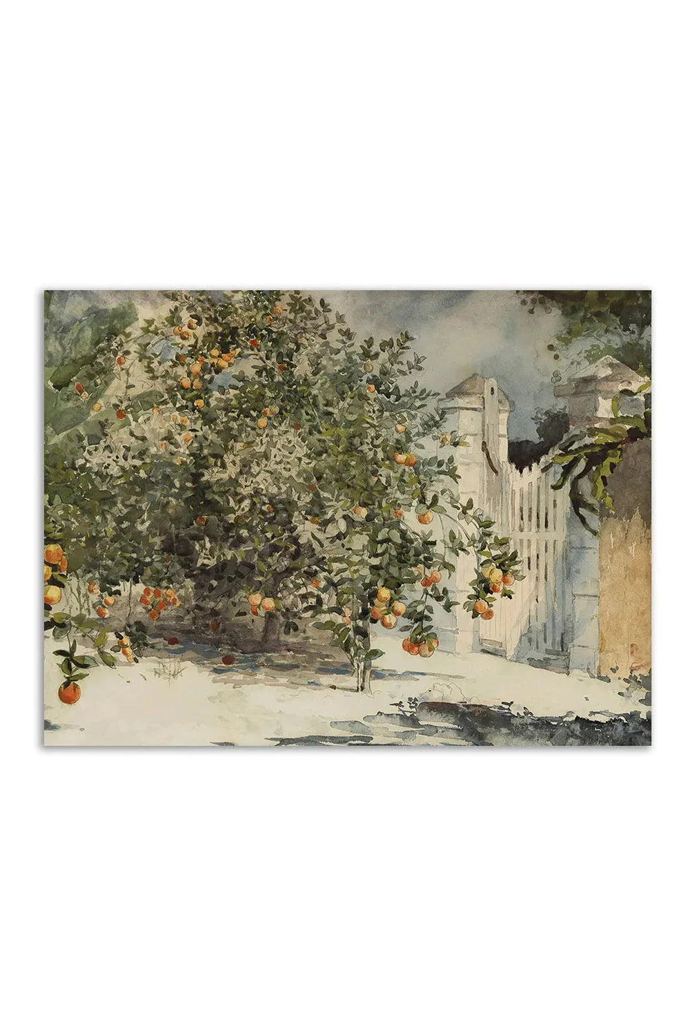 Canvas art | Bowlift