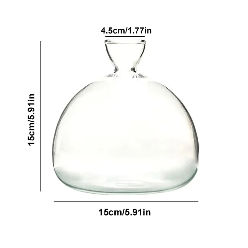 BowLift | Avocado Vase Glass | Transparent Germination Glass | Plant Container for Avocado Cultivation | 10–15 cm