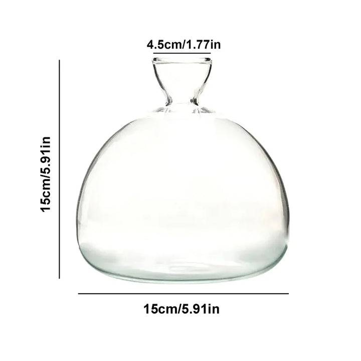 BowLift | Avocado Vase Glass | Transparent Germination Glass | Plant Container for Avocado Cultivation | 10–15 cm