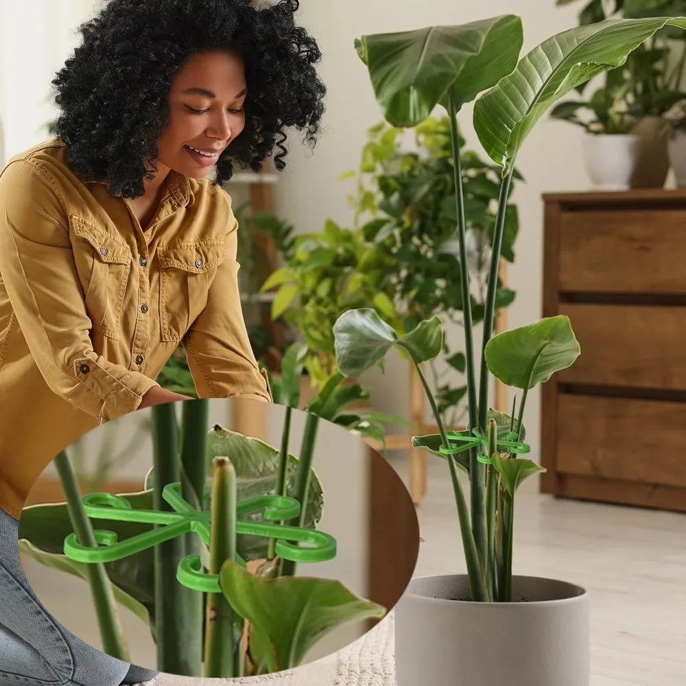 BowLift | Plant Stem Support Frame