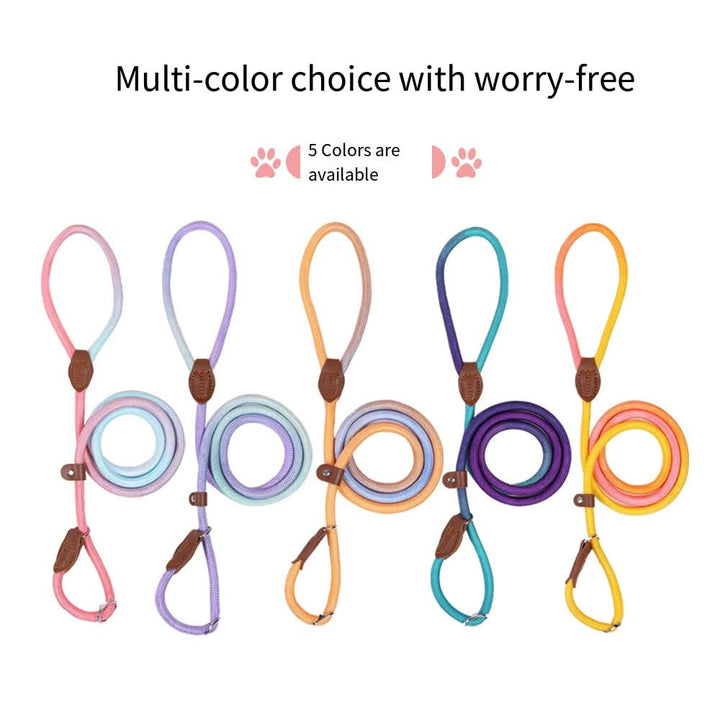 BowLift | Colorful Dog Leash for Stylish Walks