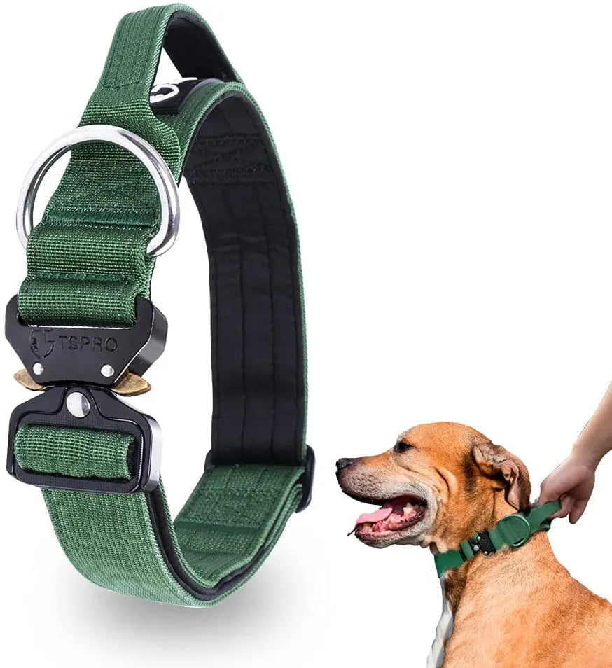 Tactical Dog Collar with Metal Buckle & Handle Bowlift