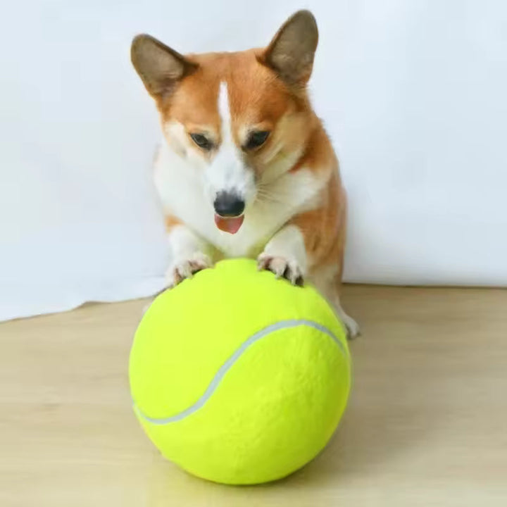 Extra large tennis ball for dogs Bowlift