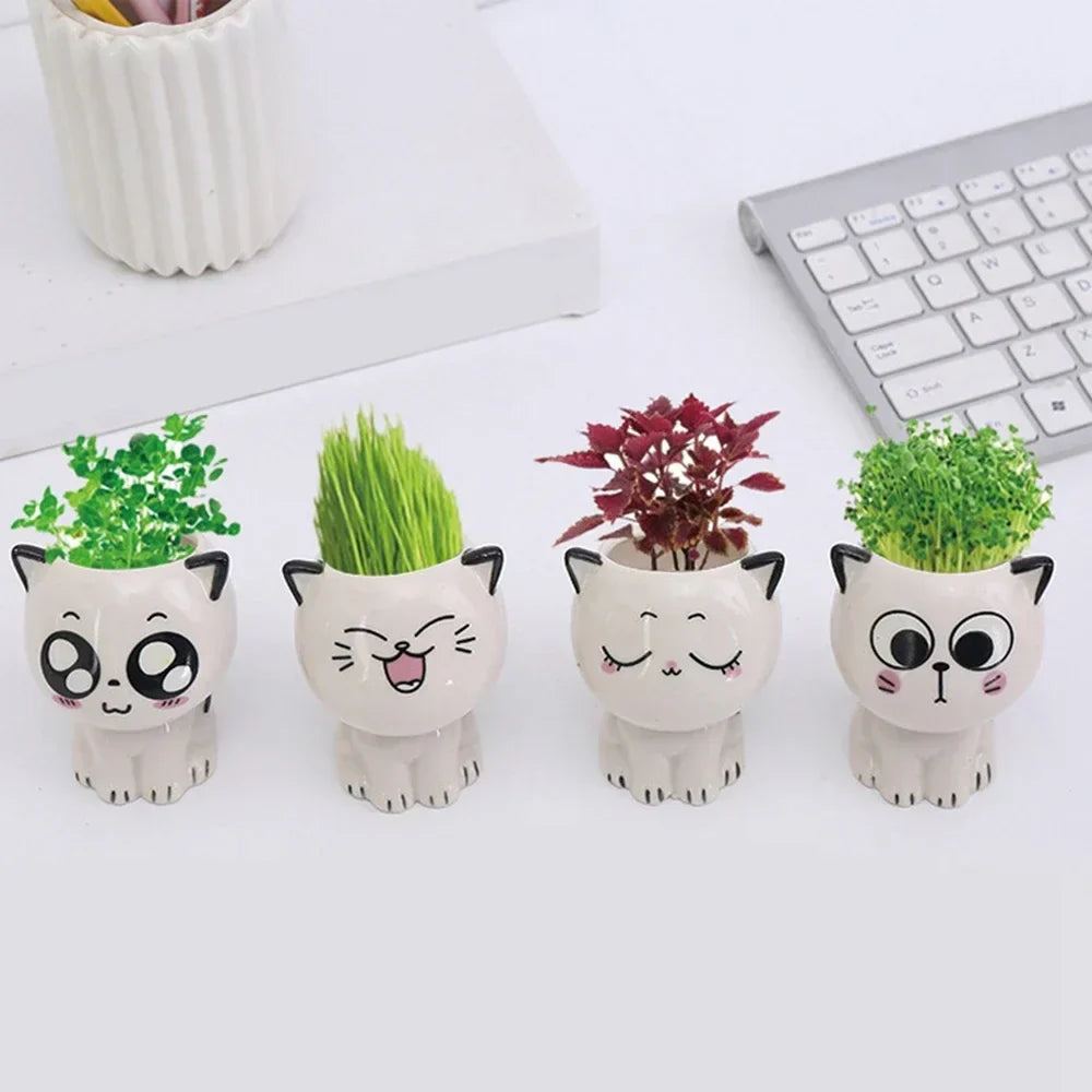 BowLift | PurrPlant Mini Ceramic Pot | Cute Cat Design | For Desk & Decor