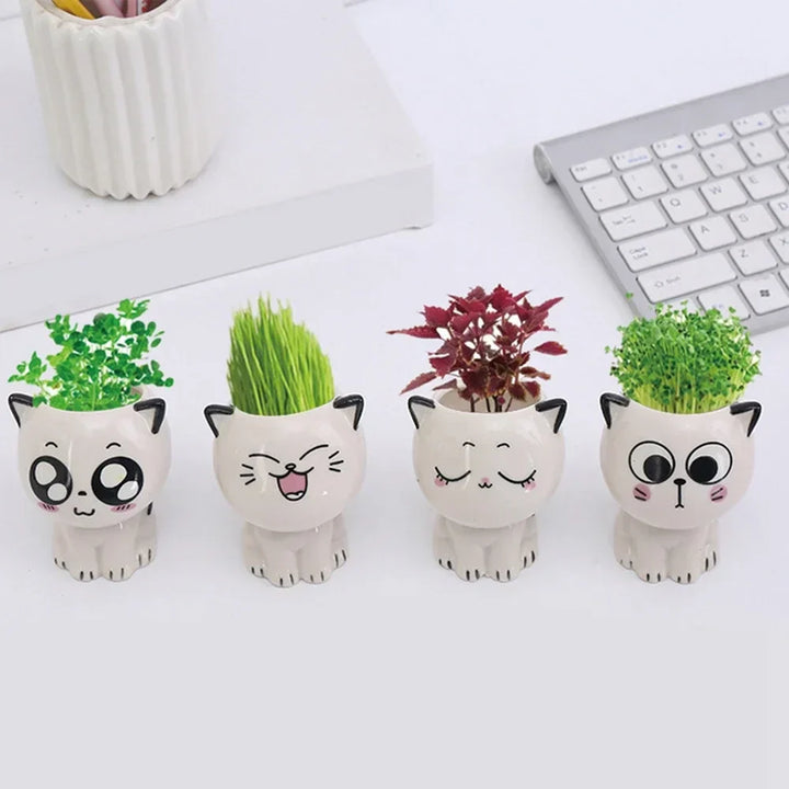 BowLift | PurrPlant Mini Ceramic Pot | Cute Cat Design | For Desk & Decor