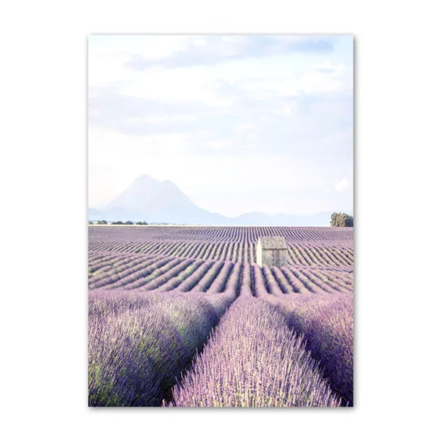 Provence Landscape Purple Lavender Pictures Of Calm Wall Art Fine Art Canvas Prints Gallery Wall Pictures For Living Room Art Decor | Bowlift