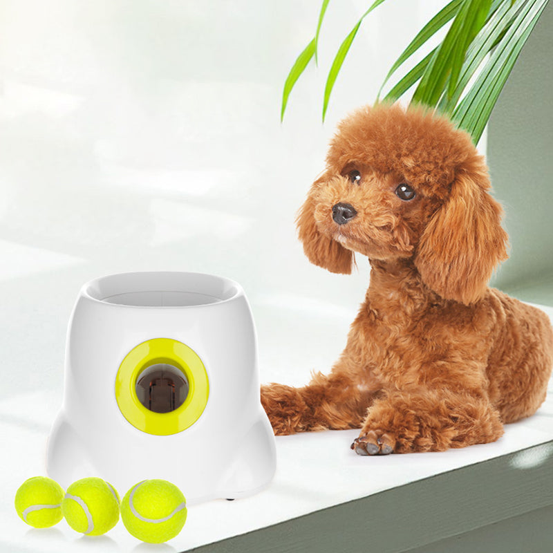 PlayBolt Automatic Ball Launcher for Dogs | Bowlift