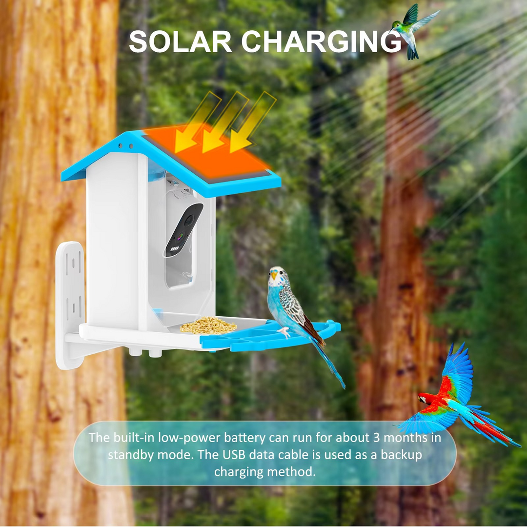 BowLift | Solar-Powered Smart Bird Feeder with HD AI Camera