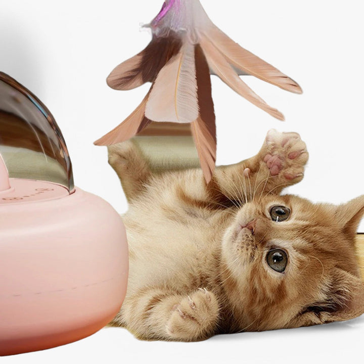 Smart Cat Laser "Hunting Light" with Rainbow Function and USB Charging Function | Bowlift