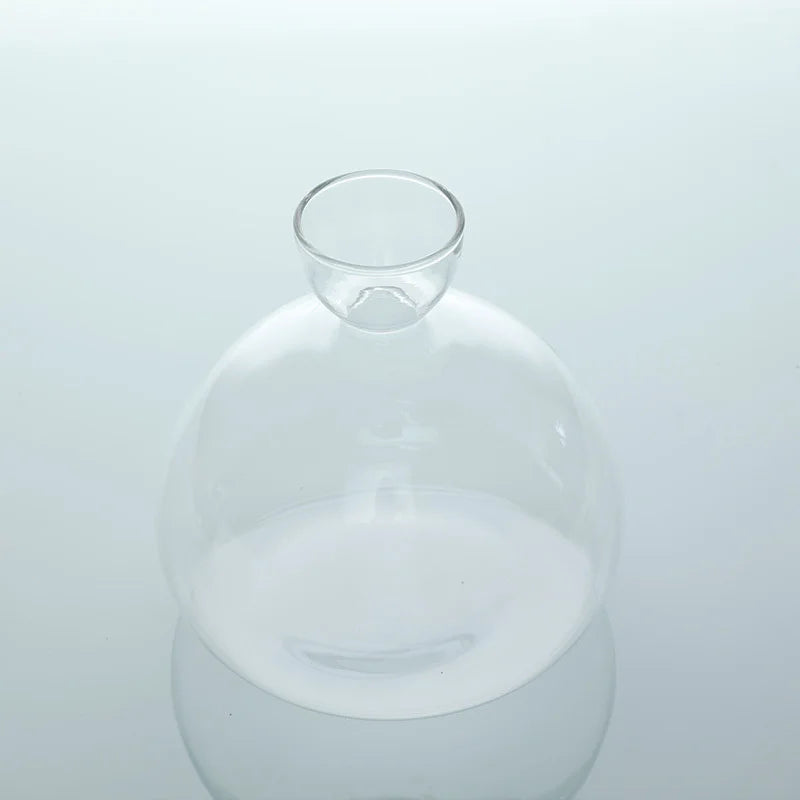 BowLift | Avocado Vase Glass | Transparent Germination Glass | Plant Container for Avocado Cultivation | 10–15 cm