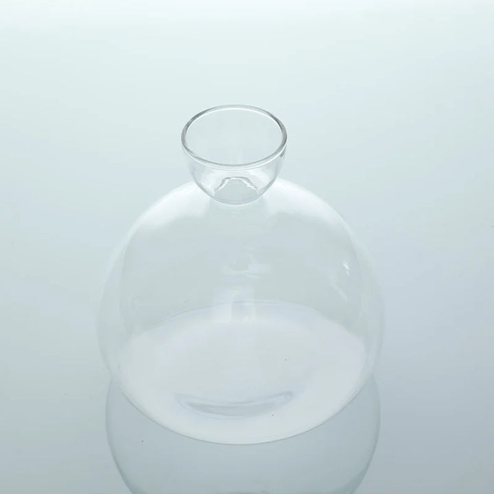 BowLift | Avocado Vase Glass | Transparent Germination Glass | Plant Container for Avocado Cultivation | 10–15 cm