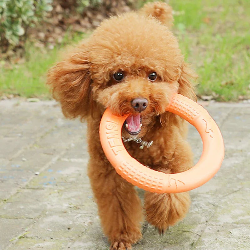 Floating EVA Training Ring for Dogs Bowlift