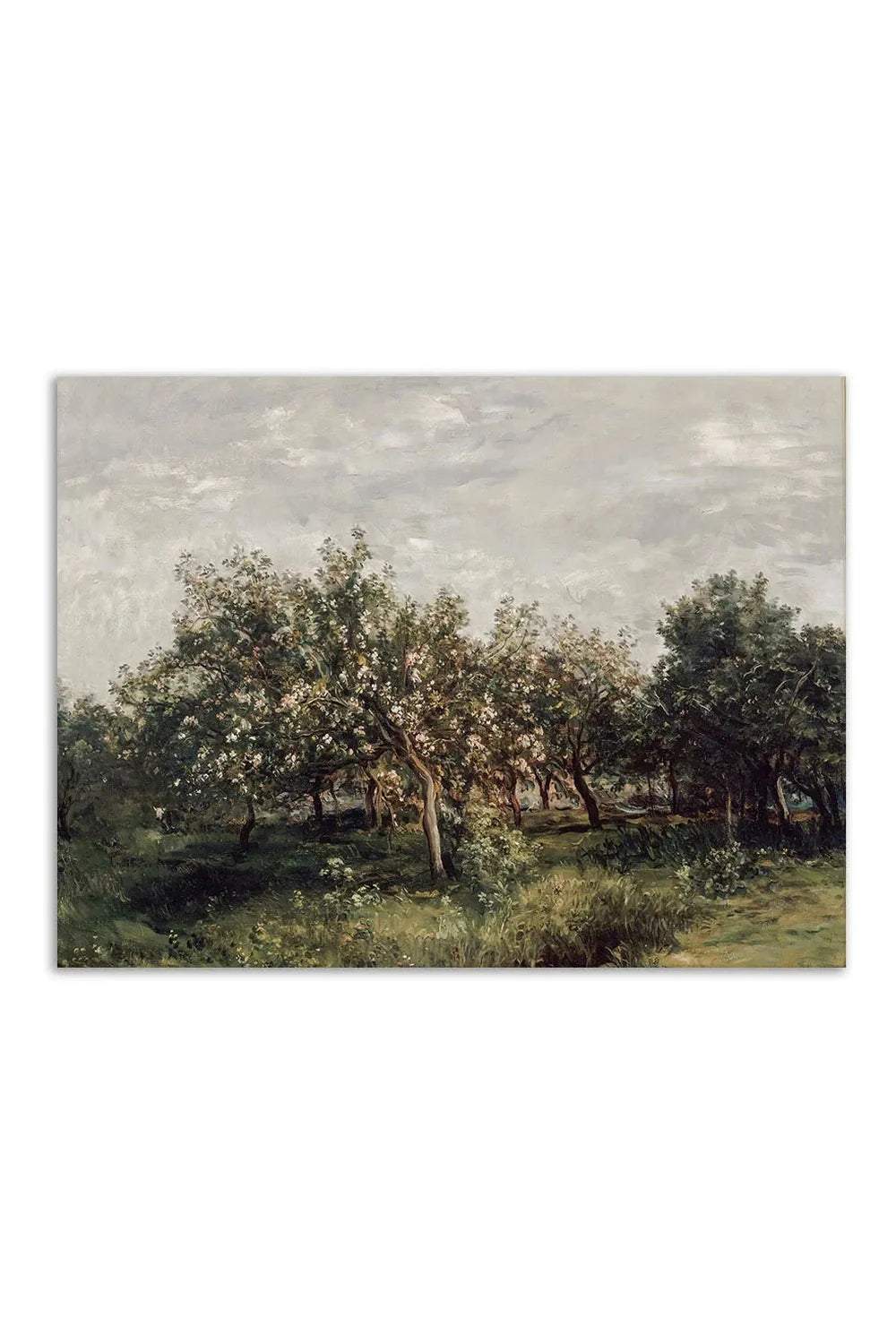 Canvas art | Bowlift