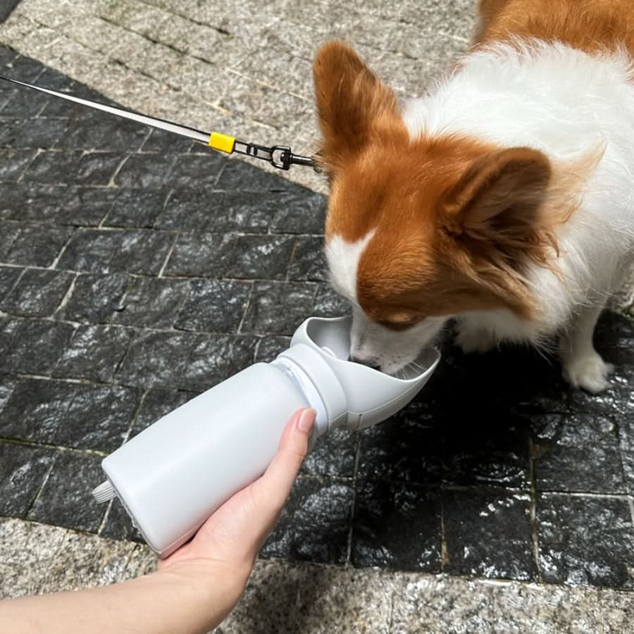 BowLift | Foldable Water Bottle for Pets with 550 ml Capacity