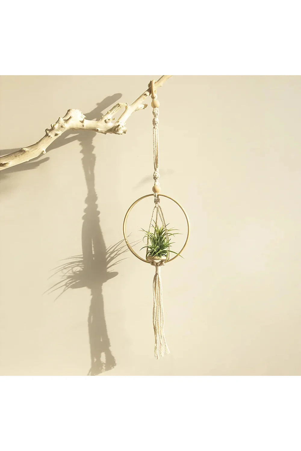 Macrame Plant Holder | Bowlift