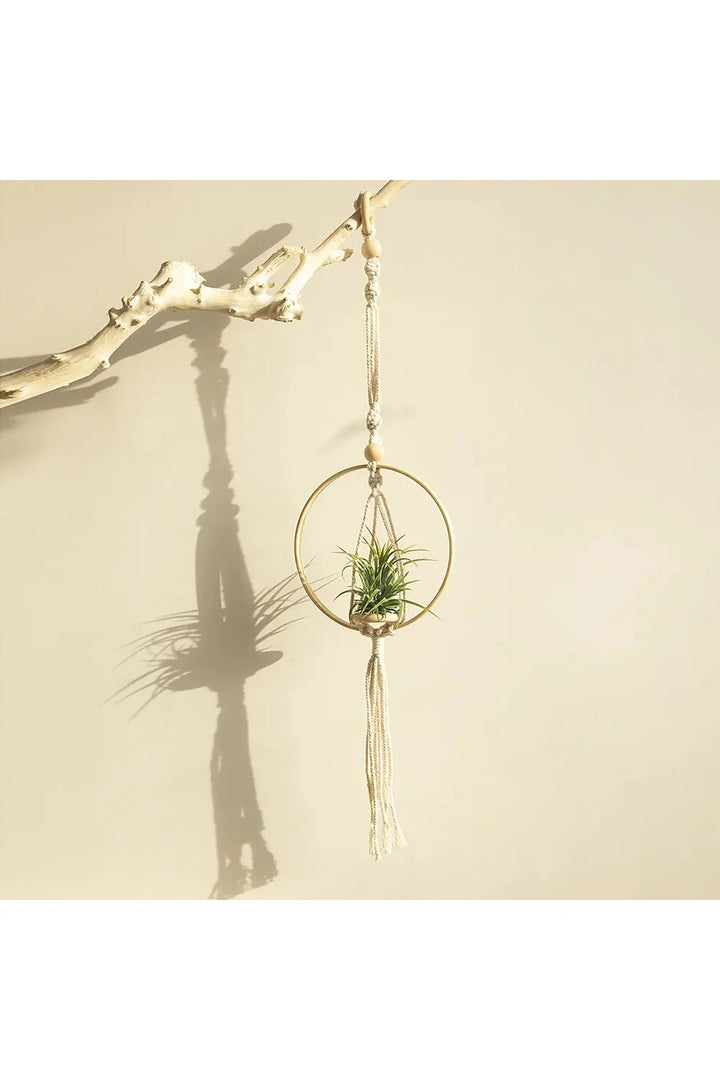 Macrame Plant Holder | Bowlift