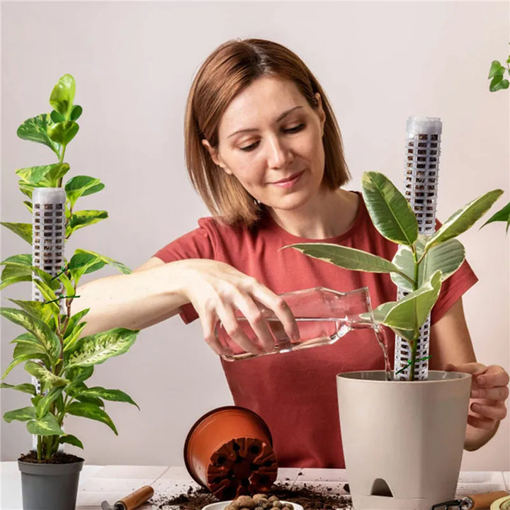 BowLift | Pillar for climbing plants and green plants – Support columns for vertical plant cultivation