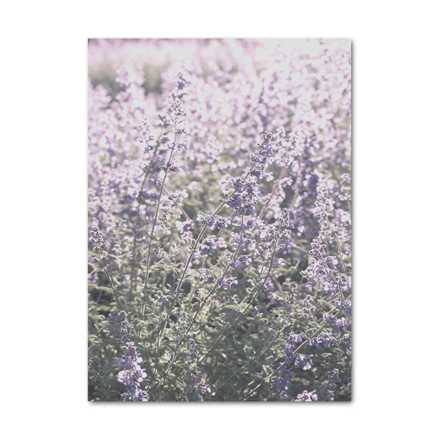 Provence Landscape Purple Lavender Pictures Of Calm Wall Art Fine Art Canvas Prints Gallery Wall Pictures For Living Room Art Decor | Bowlift