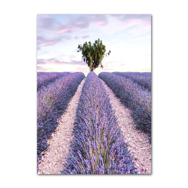 Provence Landscape Purple Lavender Pictures Of Calm Wall Art Fine Art Canvas Prints Gallery Wall Pictures For Living Room Art Decor | Bowlift