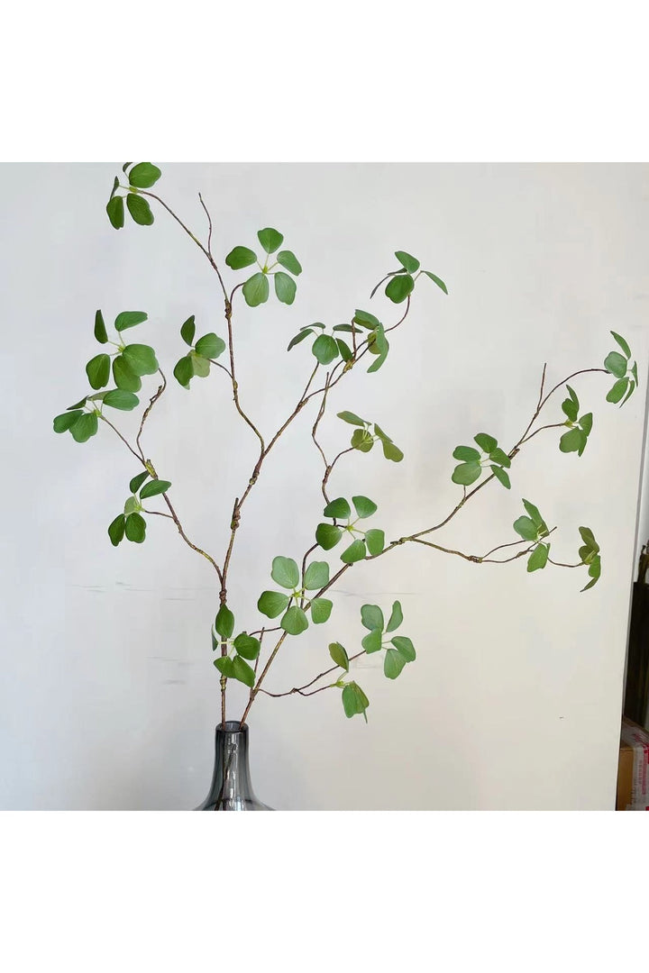 Style Green Leaf Ivy | Bowlift