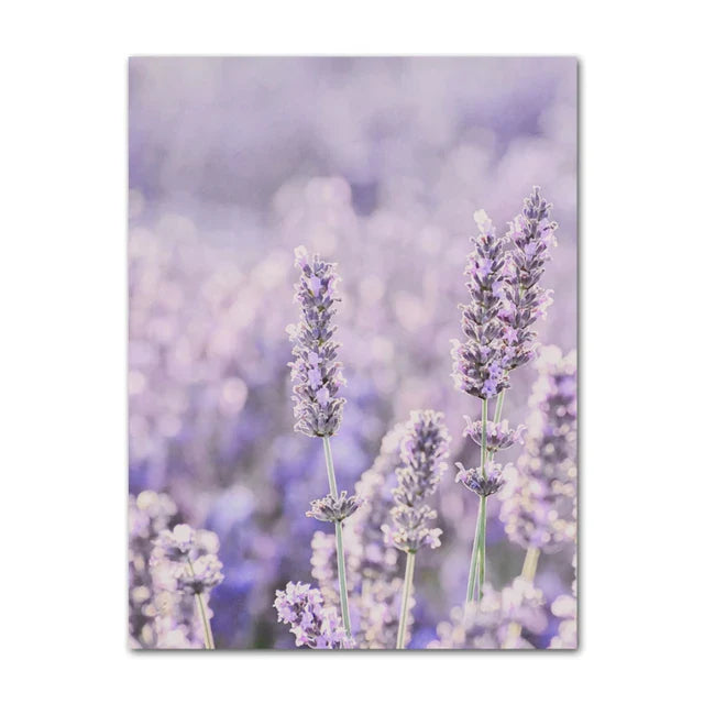 Provence Landscape Purple Lavender Pictures Of Calm Wall Art Fine Art Canvas Prints Gallery Wall Pictures For Living Room Art Decor | Bowlift