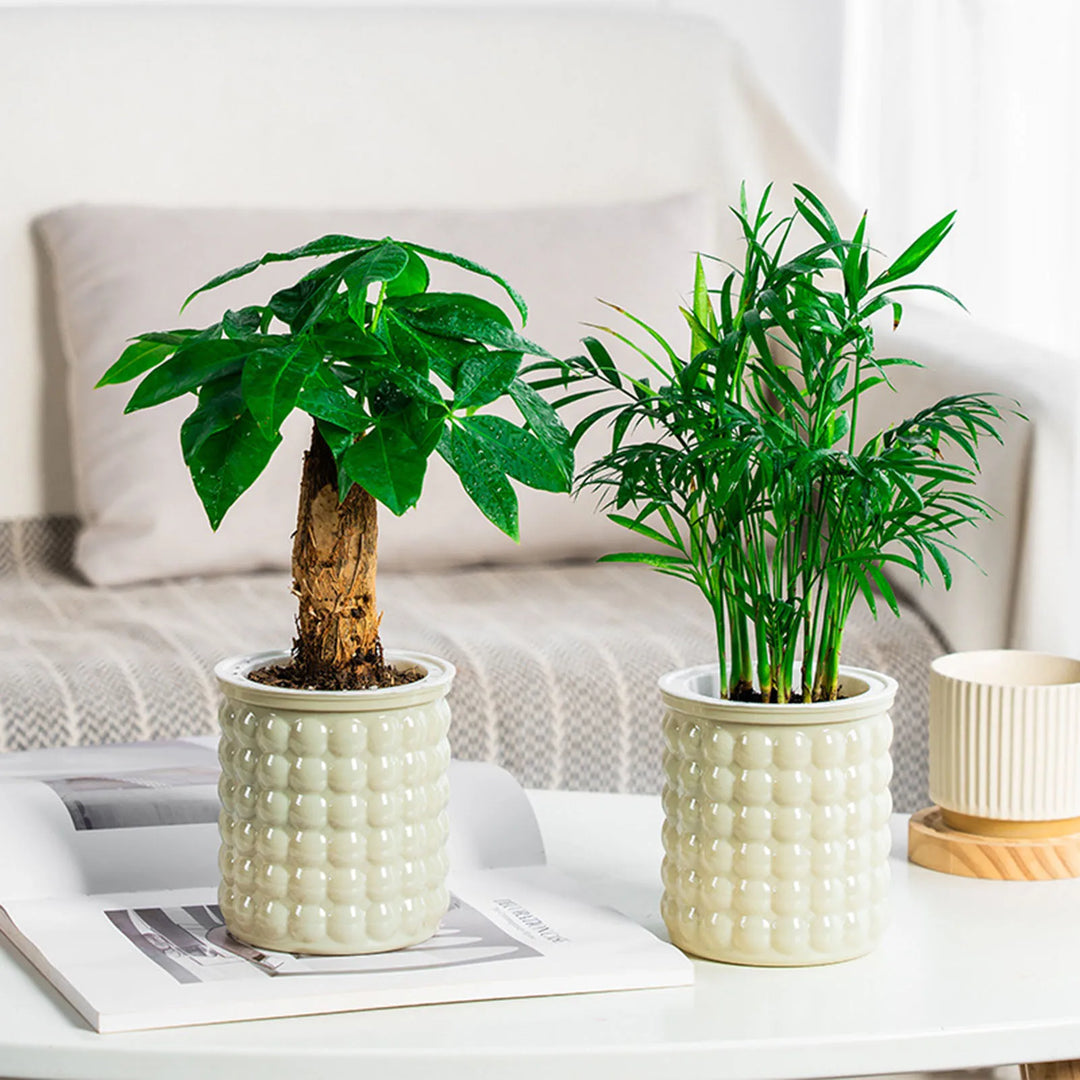 BowLift | Hydropura Flowerpot | Self-watering & Soil-free | Modern & Easy to Care | Set of 3