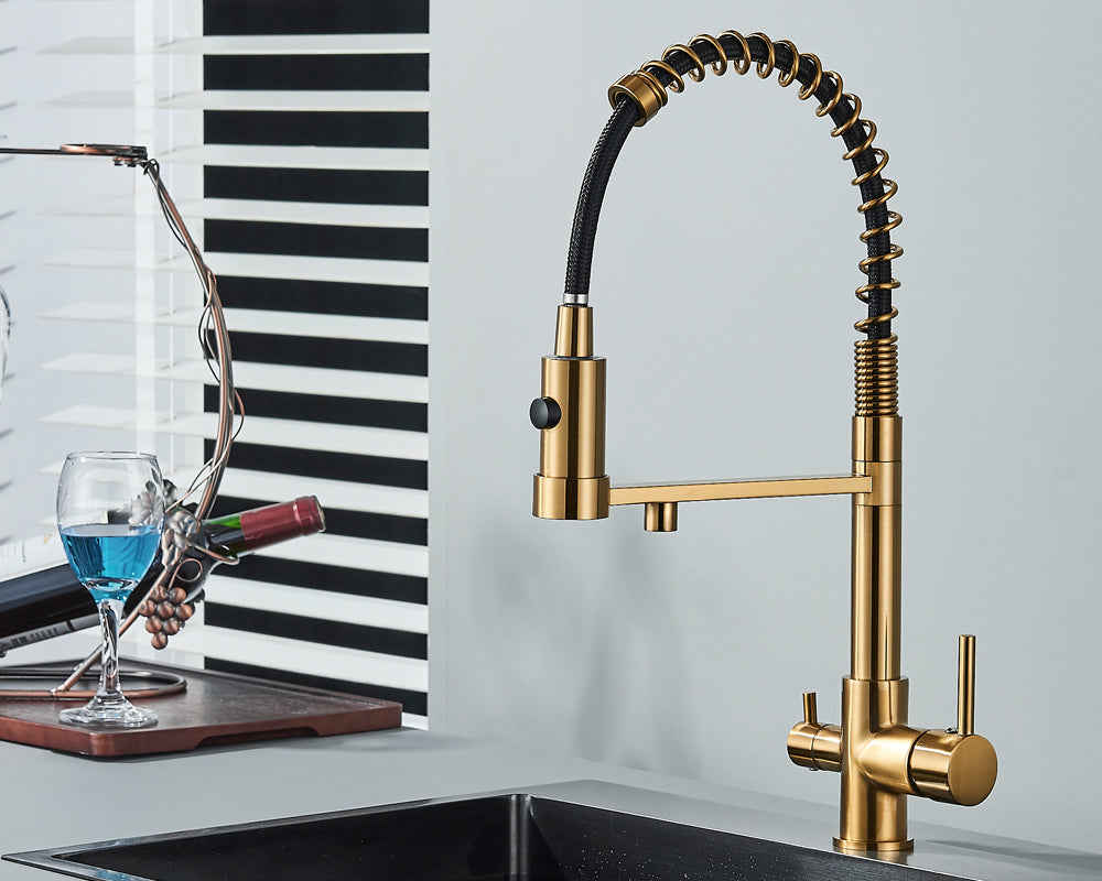 Sandsberg Black Filter Kitchen Faucet with Dual Outlet – Mixing Tap with Water Filter for Kitchens, Water Treatment and Cleaning | Bowlift
