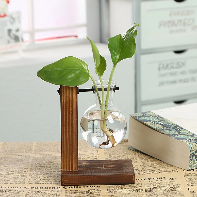 BowLift | Vasoya Glass Vases | 3-Piece Set with Wooden Frame | Scandinavian & Versatile | For Flowers & Hydroponics