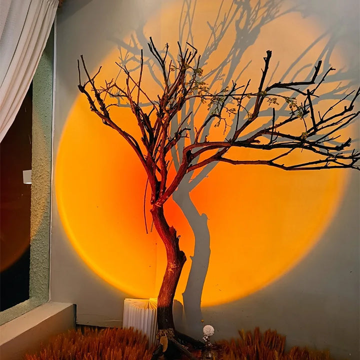 BowLift | Sunset Ceiling Spot Light