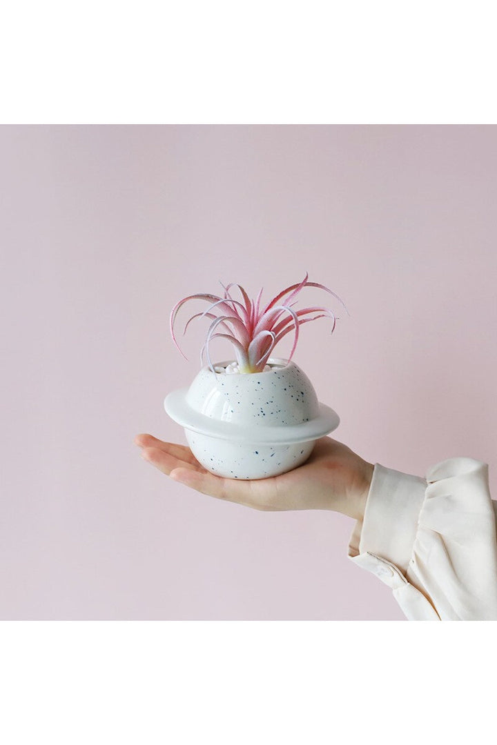 Motif ceramic pot for succulents | Bowlift