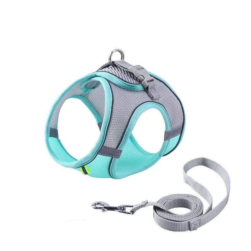 Adventurous Cat Harness with Leash – Adjustable and Reflective | Bowlift