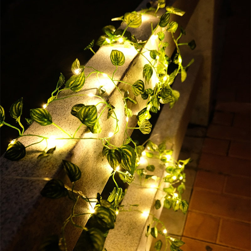 BowLift | Garden vine LED string lights