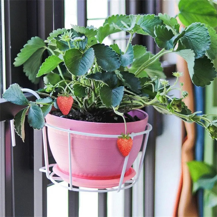 BowLift | Practical plant pot holder with stable metal frame for balcony and terrace