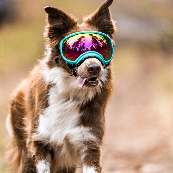 Dog sunglasses with UV protection windproof adjustable Bowlift