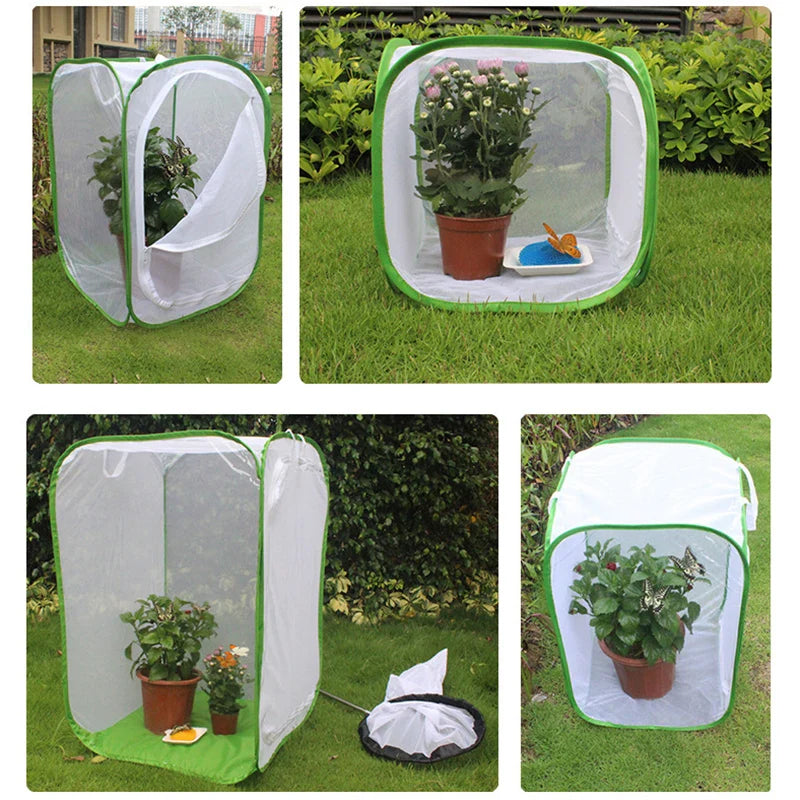 BowLift | Viventra Folding Insect Habitat | Breeding & Observation Net | Stainless Steel Frame | For Butterflies, Crickets & Silkworms