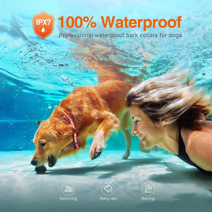 Rechargeable Electric Dog Training Collar with Remote & 1000m Range – PetControl Bowlift