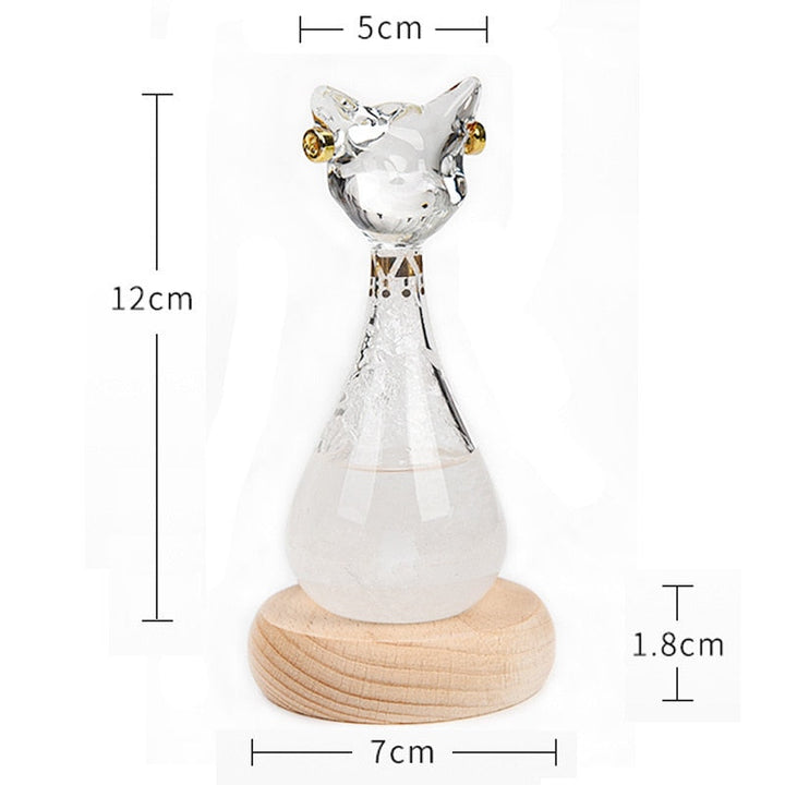 Cat-Inspired Weather Forecast Bottle | Bowlift