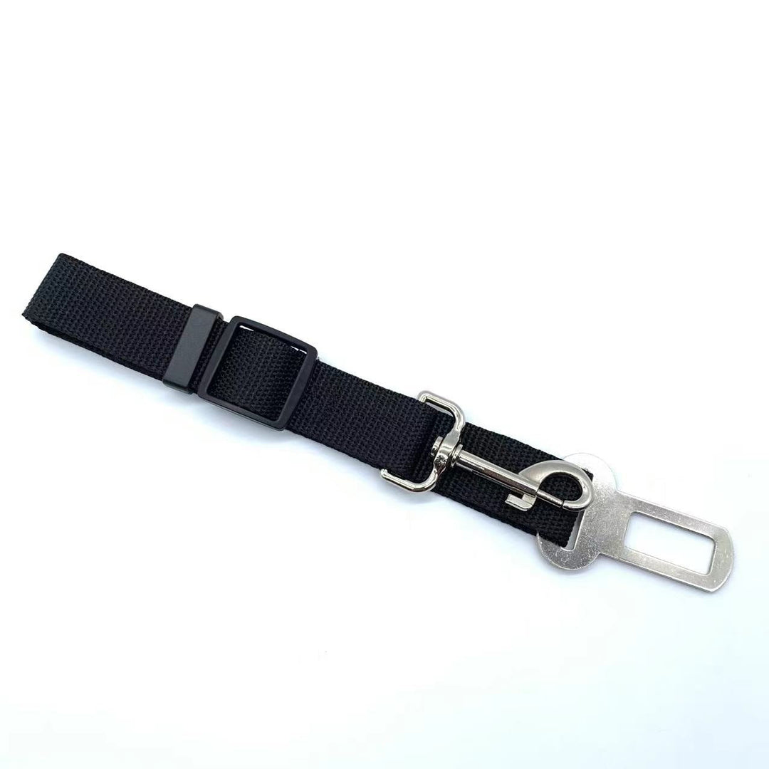 Safety seatbelt for Pets Bowlift
