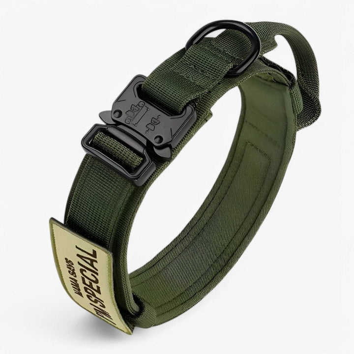 BowLift | Durable & Adjustable Collar for Training & Everyday Use