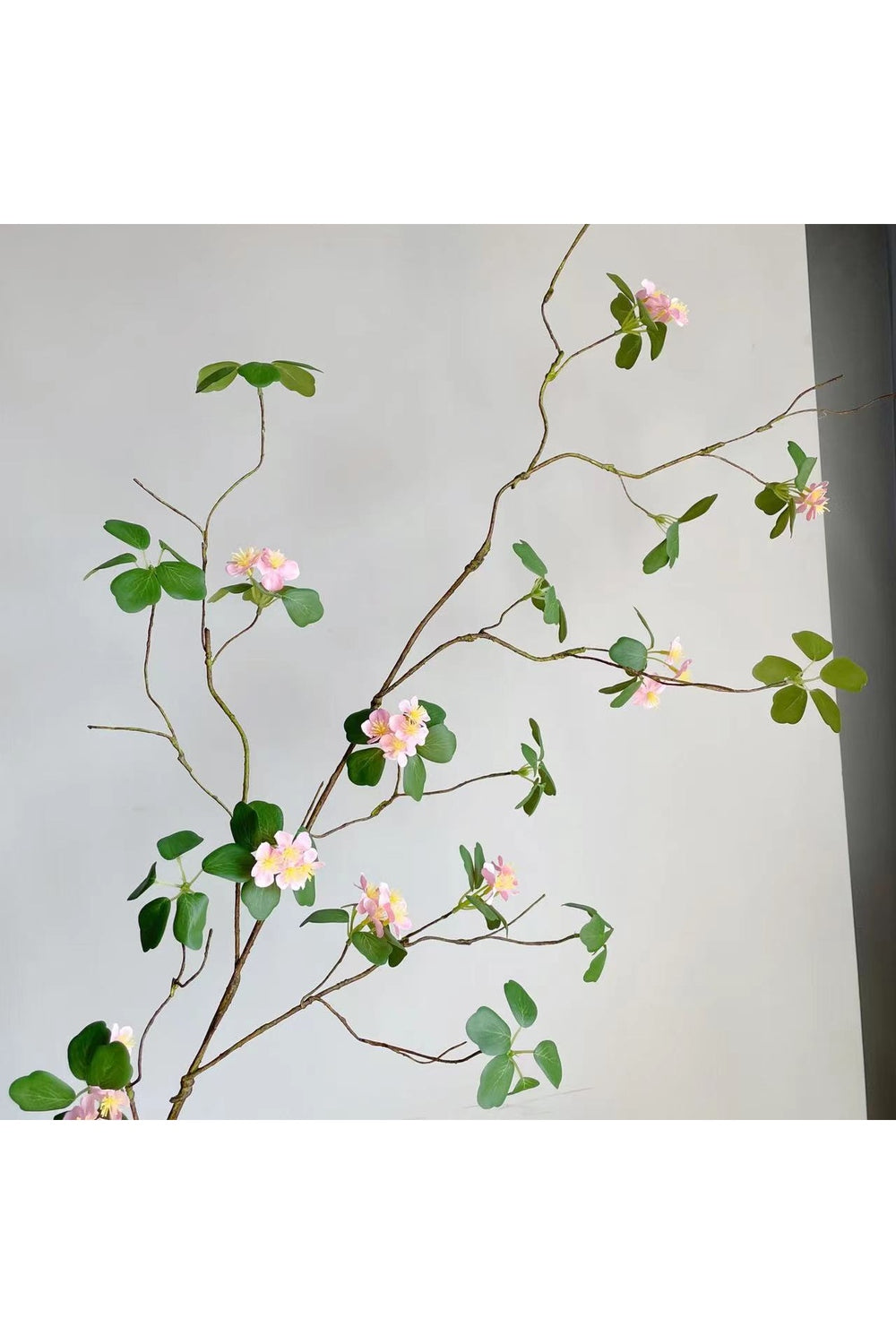 Style Green Leaf Ivy | Bowlift