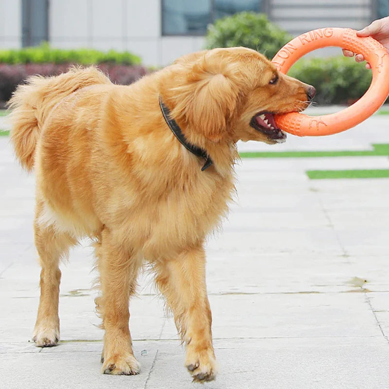 Floating EVA Training Ring for Dogs Bowlift