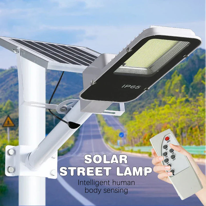 Heavy-Duty Outdoor Solar Security Waterproof Light | Bowlift