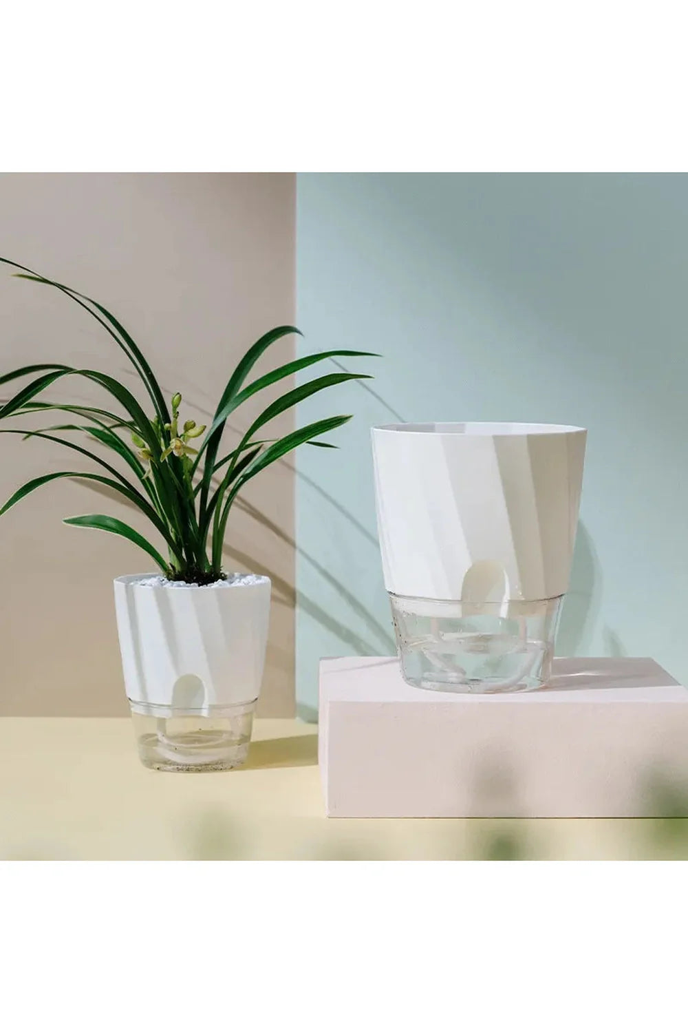 Transparent office plant pot | Bowlift