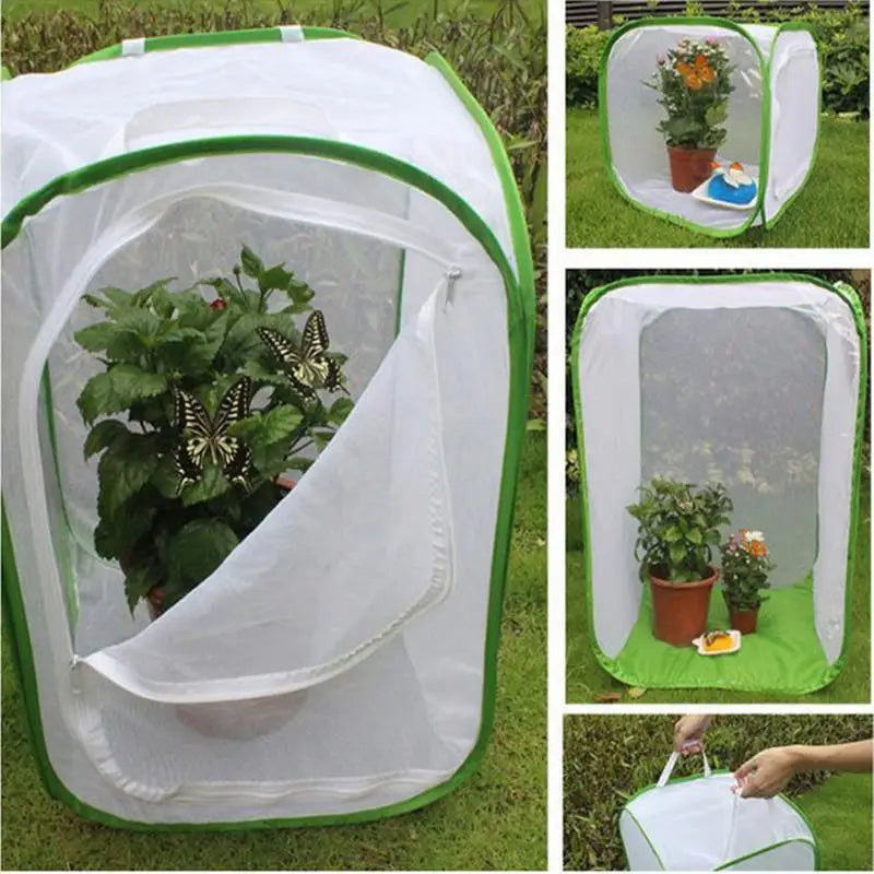 BowLift | Viventra Folding Insect Habitat | Breeding & Observation Net | Stainless Steel Frame | For Butterflies, Crickets & Silkworms
