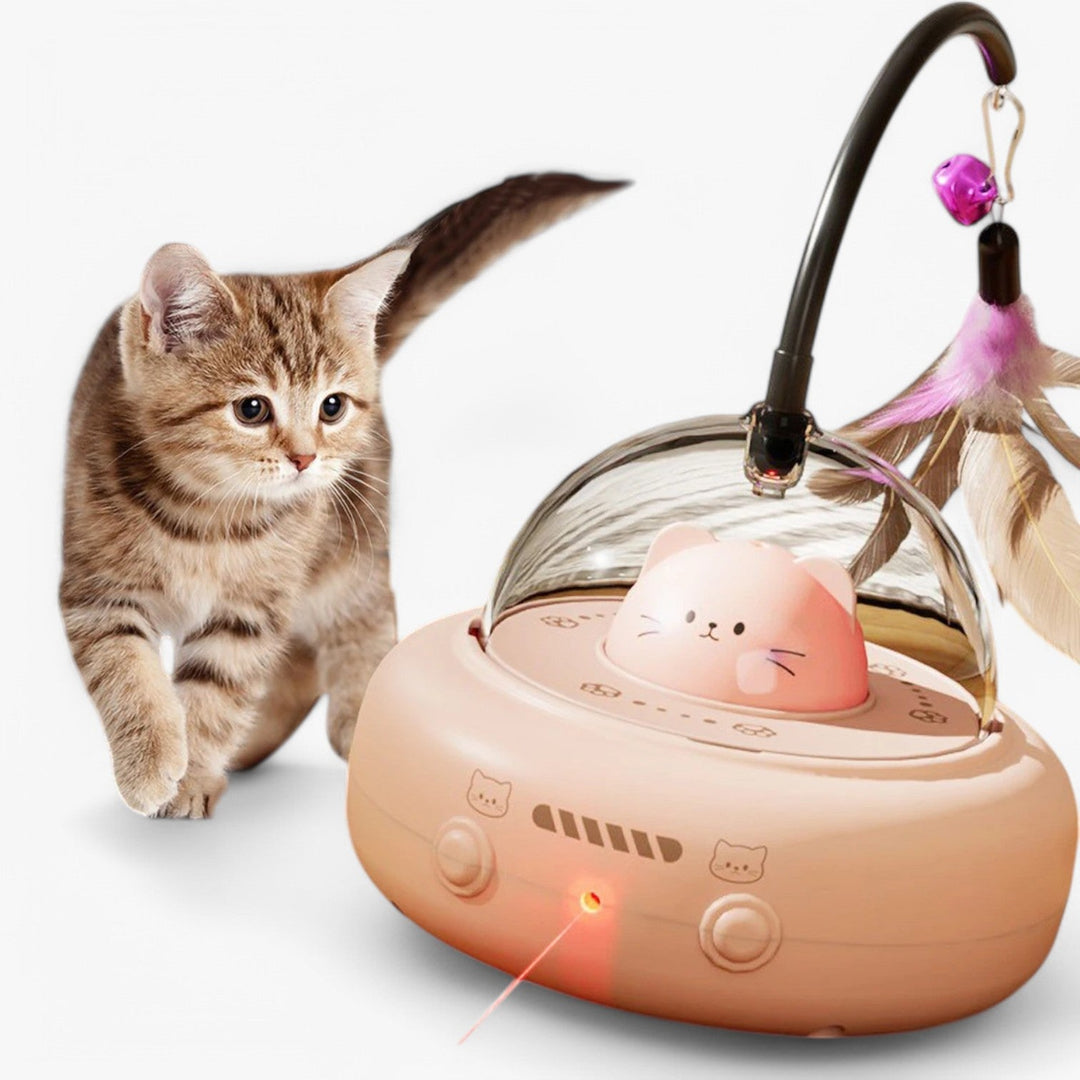 Smart Cat Laser "Hunting Light" with Rainbow Function and USB Charging Function | Bowlift